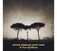 PETER NEW TRIO ERSKINE - In Praise Of Shadows