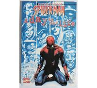 Peter Parker Spider-Man: A Day in the Life