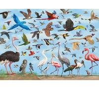 Peter Pauper Press All The Birds 1000 Piece Jigsaw Puzzle