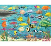 Peter Pauper Press All The Fish 1000 Piece Jigsaw Puzzle, White