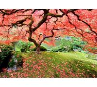 Peter Pauper Press Japanese Maple Tree 1000 Piece Jigsaw Puzzle, Red