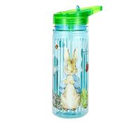 Peter Rabbit 580ml Kids Water Bottles with Straw - School Drinks Bottle