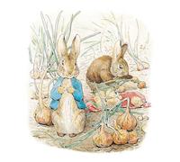 Peter Rabbit & Benjamin Bunny - Blank Birthday/all Ocassion Card - Beatrix Potter