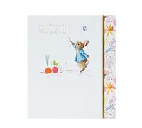 Peter Rabbit Birthday Card for Nephew - Painting Design