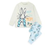 Peter Rabbit Boy's Long Sleeve Long Leg Pyjama Set | Blue AOP | Official Merch | Size: 18-24 m Peter Rabbit Blue 18-24 m