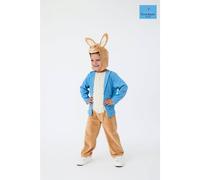 Blues Group Officially Licensed Peter Rabbit Unisex Kids Full Suit Costume | World Book Day, Dress-Up, and Role Play | Ages 3-8| (4-6 Years)