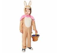 Peter Rabbit Flopsy Classic Costume