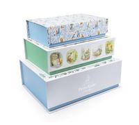 Peter Rabbit & Friends Set of 3 Nesting Storage Boxes | Premium Decorative Keepsake Boxes with Magnetic Closures | Children’s Toy, Book & Treasure Storage