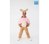 Peter Rabbit Girl's Officially Licensed Flopsy Bunny Girls Kids Full Suit Costume | World Book Day, Dress-Up, & Role Play | Ages 3-8 Peter Rabbit Multicolor 3-4 Years