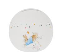 A32393 Peter Rabbit Money Bank - P87147