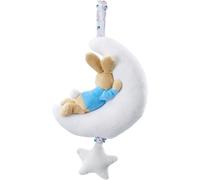 Peter Rabbit Night Night Musical
