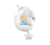 Peter Rabbit Night Night Musical