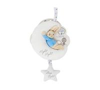 Peter Rabbit Night Night Musical