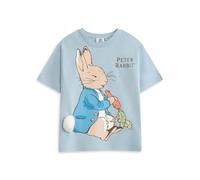 Peter Rabbit Kids Light Blue Graphic Tee | Short Sleeve Crew Neck Cartoon T-Shirt | Character Print Top for Children | Unisex Streetwear Merch - 3-4 Years
