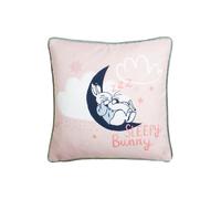 Peter Rabbit™ Sleepy Head Printed Piped Velvet Kids Cushion Peter Rabbit Pink 43cm x 43cm