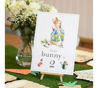 Peter Rabbit 'Some Bunny is 2' Card and Easel 2nd Birthday Decoration Sign