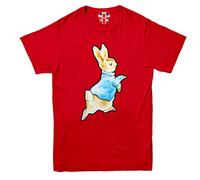 Peter Rabbit t-Shirt World Book Day T Shirt Kids Funny Character Children Tee Red