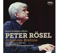 Peter Rosel - Brahms:Sonata No.1 / Variationen Uber Ein Theme Von Shumann [Japan CD] KICC-1041