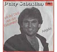 Peter Sebastian - Ich hol' dich aus der Einsamkeit (1984) / Vinyl single [Vinyl-Single 7'']