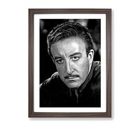 Peter Sellers Modern Framed Print | A3 Walnut Framed Wall Art | Ready to Hang | Modern Nature Picture | Living Room Bedroom Lounge Office