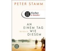 Peter Stamm An einem Tag wie diesem (Hardback)