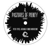 Peter Tevis / Ennio Morricone - Pastures Of Plenty [7" VINYL]