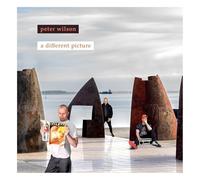 Peter Wilson - A Different Picture