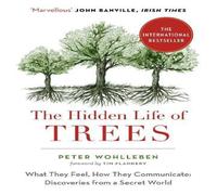Peter Wohlleben HIDDEN LIFE OF TREES PB : What They Feel, How They Communicate Peter Wohlleben Multicolor