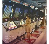 PETER ZIRBS - WHAT IF WE DON'T EXIST? [VINYL]