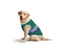 Peterborough Flag Dog Clothes for Medium and Large Dogs - Soft Cotton Pet Clothing for Daily Wear, Walking, (Large, Blue,Yellow)