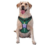 Peterborough Flag Dog Harness for Small, Medium, and Large Dogs - Reflective Straps, Adjustable Fit with Quick-Release Buckles