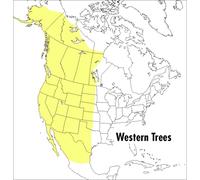 Peterson Field Guide To Western Trees, A: Western United States and Canada (Peterson Field Guides)