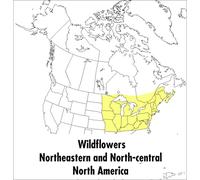 Peterson Field Guide To Wildflowers, A: Northeastern and North-Central North America (Peterson Field Guides)