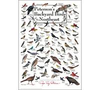 Peterson's Backyard Birds of the Northeast Poster