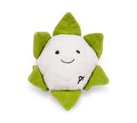 Petface Foodie Faces Cauliflower Plush Dog Toy with Built In Squeaker (Pack of 1)