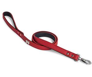 petface chicken drummer;cat litter tray liners large;pet face toy;corner cat litter tray;petface latex dog toy;puppy teddy;petface dog toy;cat litter liners;petface dog bed large;petface;litter tray liners;puppy;petface plastic dog bed;puppy pads;plastic dog bed medium;plastic dog bed;toys for dogs;dog baskets large;cat litter tray with hood;dog baskets medium;dog toy;kong puppy toy;puppy toys;cat litter tray liners;litter tray;petface dog bed;corner litter tray;dog beds clearance;puppy interactive toy;litter tray with lid;puppy toys from 8 weeks;dog blanket;plastic dog baskets medium;dog treats;puppy toys for boredom;plastic dog bed large;dog basket plastic;cat litter box;petface bed large;dog baskets;petface dog bed xl;puppy training pads;puppy heartbeat comforter;dog basket;dog bed medium;plastic dog baskets;petface bed;cat litter tray;rosewood dog toys;plastic dog basket;dog puppy pads;dog toys;kong dog toy;petface dog bed medium;wicker dog baskets large;large dog bed;petface tennis balls for dogs;petface dog toys;plush dog toy;dog bed;3 peaks dog bed;waterproof dog bed;dog accessories;petface toys for dogs