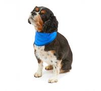 Petface Cooling Pet Bandana - Small