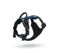 Petface Outdoor Paws Adventure Dog Harness, Blue, Medium (Pack of 1)
