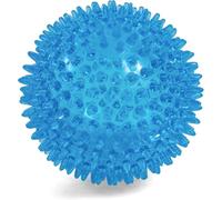 Petface (Toyz by Petface) Space Ball Blue Dog Toy, Medium