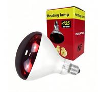 PetFizz Infrared Heat Lamp Bulb 250W, Chicks Infra Red Heat Lamp, E27 Infrared Light for Reptile, Brooder Bulb, Poultry, Puppy, Chicks(Smooth Surface)