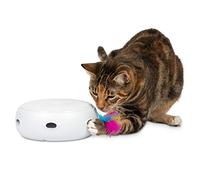 PetFusion [New & Improved] Ambush Interactive Electronic Cat Toy w/ Rotating Feather.(Quiet,3 Modes, Nighttime Light, Auto Shut-off, Batteries Incl). Replacement Feathers Available. 12 MONTH WARRANTY