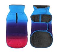 Petglad Dog Winter Coat, Waterproof Dog Jacket with Leash Hole, Reflective Adjustable Pet Snow Vest, Warm Fleece Sweater for Small Medium Large Dogs - Gradient Blue, XS