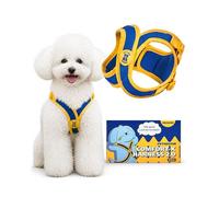 PETHROOM Comfort-X Dog Harness 2.0 - Step-In Soft Lightweight Vest, No Choke, Easy On/Off with One-Touch Buckle, Breathable 3D Mesh, Padded & Shock-Absorbing, Adjustable for Small Medium Dogs (Medium)