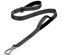 PetiFine 4FT Heavy Duty Dog Leash with Soft Padded Double Handle, Durable Strong Clasp Dog Leashes, Reflective Nylon Walking Lead for Large,Medium,Small Breed Dogs, Black