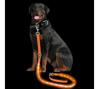 PetIsay Light up Dog Leash for Night Walking - USB C Rechargeable - Waterproof - Dog Leash with Flashlight - LED Leash for Dogs - 6Ft, Orange