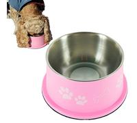 PETish Spaniel Bowl for Long Ear Dog - Ergonomic Personalized Custom Design Bowls, NO Tip Stainless Dish (Medium (17oz - 6.3 x 5.3 x 3.0inch), Candy Pink)