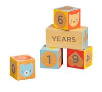 Petit Collage Wooden Milestone Baby Blocks