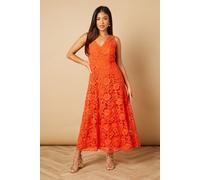 Petite Floral Lace V Neck Midi Dress Oasis Orange 8