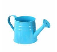 ＡＷＨＡＯ Petite Metal Watering Can Planter for Home And Garden Decor, Blue