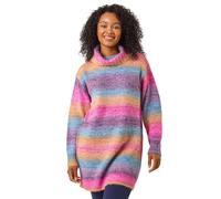 Petite Spacedye Stripe Roll Neck Jumper Roman Multi 14